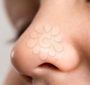 A Children's nose. A macro . A photo