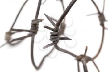 Barbed wire on a white background. macro