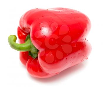 Juicy red paprika on a white background .