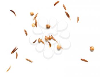 Sesame seeds with bread on white background .