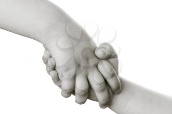 Two children's hand on a white background .