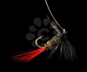 fly to catch fish on a black background .