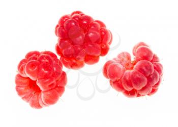 Juicy red berry raspberries on a white background