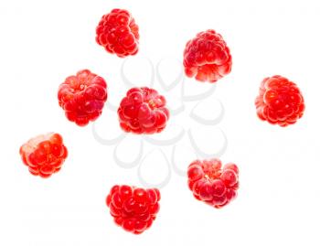 Juicy red berry raspberries on a white background