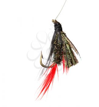 fly for fishing on a white background .