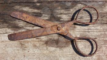 Old rusty scissors on wooden background