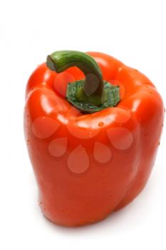 Royalty Free Photo of a Pepper