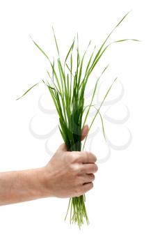 Royalty Free Photo of a Person Holding Grass