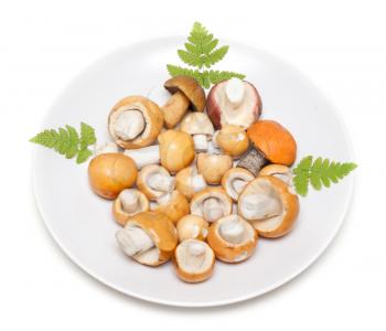 Royalty Free Photo of a Plate of Mushrooms