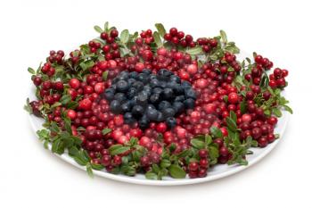 Royalty Free Photo of a Plate of Berries