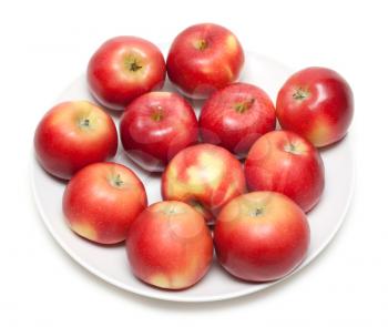 Royalty Free Photo of a Plate of Apples