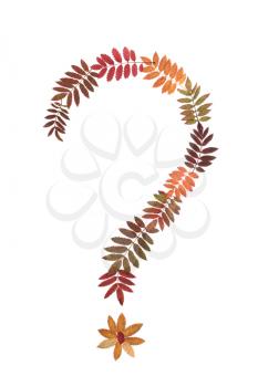 Royalty Free Photo of a Question Mark Made From Leaves