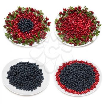 Royalty Free Photo of Plates of Berries