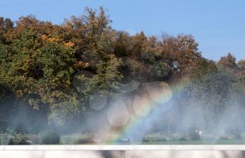 Royalty Free Photo of a Rainbow by Trees