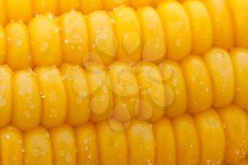 Royalty Free Photo of Corn on the Cob