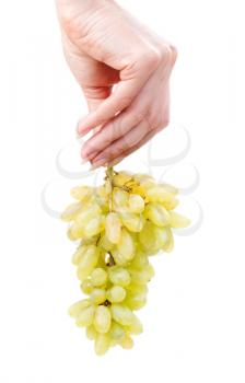 Woman hand holding bunch of green grapes isolated on the white background