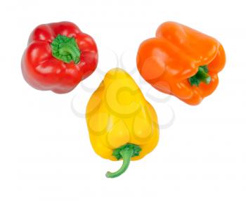 three Bulgarian pepper isolated on white background