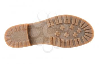 Beige sole isolated on white background