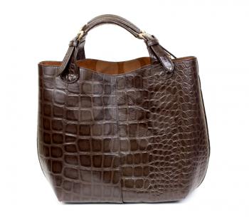 Womanish Brown Crocodile Leather Handbag isolate on white