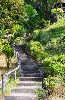 stone staircase with wooden hand rail in the jungles of Thailand