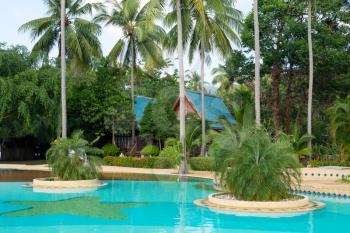 resort with swimming pool and palm tree