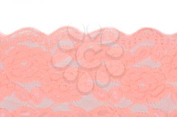 openwork lace rose isolated on white background