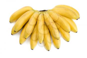 natural small tropical banana in a bunch over white background