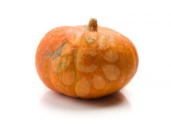 Pumpkin isolated on white background.
