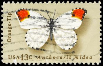 Royalty Free Photo of 1977 US Stamp Shows the Orange Tip, Butterfly
