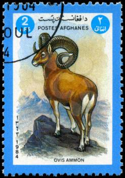 AFGHANISTAN - CIRCA 1984: A Stamp shows image of a Argali with the inscription Ovis ammon, series, circa 1984