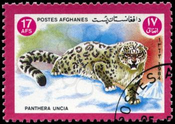 AFGHANISTAN - CIRCA 1984: A Stamp shows image of a Snow leopard with the inscription Panthera uncia, series, circa 1984