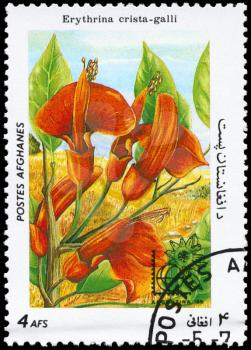 AFGHANISTAN - CIRCA 1985: A Stamp printed in AFGHANISTAN shows image of a Erythrina crista-galli, from the series Flowers, circa 1985