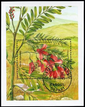 AFGHANISTAN - CIRCA 1985: A Stamp sheet printed in AFGHANISTAN shows image of a Sesbania punicea, from the series Flowers, circa 1985