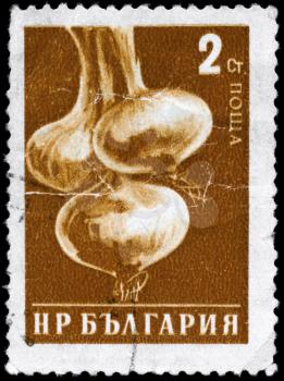BULGARIA - CIRCA 1958: A Stamp printed in BULGARIA shows image of a Onions, from the series Vegetables, circa 1958