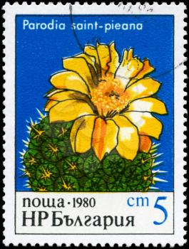 BULGARIA - CIRCA 1980: A Stamp printed in BULGARIA shows image of a Parodia saint-pieana, from the series Blooming Cacti, circa 1980