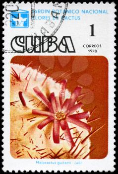 CUBA - CIRCA 1978: A Stamp printed in CUBA shows image of a Melocactus guitarti, from the series Cactus Flowers, circa 1978