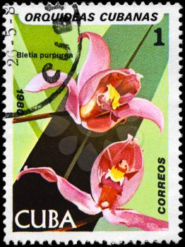 CUBA - CIRCA 1980: A Stamp shows image of a Bletia with the inscription Bletia purpurea, from the series Cuban Orchids, circa 1980