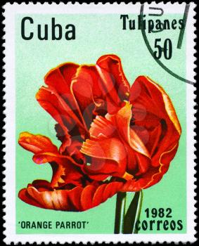 CUBA - CIRCA 1982: A Stamp shows image of a Tulip with the inscription Orange Parrot, from the series Tulips, circa 1982