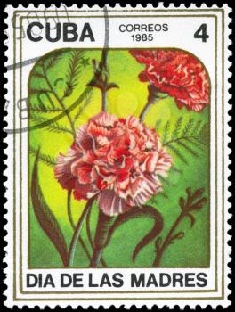 CUBA - CIRCA 1985: A Stamp printed in CUBA shows image of a Carnations, from the series Mother's Day, circa 1985