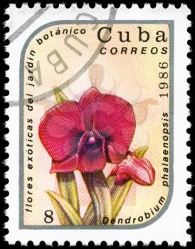 CUBA - CIRCA 1986: A Stamp printed in CUBA shows image of a Dendrobium phalaenopsis, from the series Exotic flowers in the Botanical Gardens, circa 1986