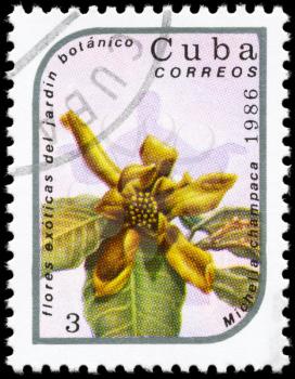 CUBA - CIRCA 1986: A Stamp printed in CUBA shows image of a Michelia champaca, from the series Exotic flowers in the Botanical Gardens, circa 1986