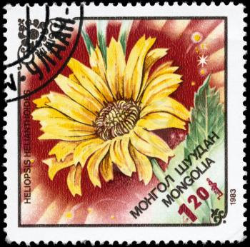 MONGOLIA - CIRCA 1983: A Stamp printed in MONGOLIA shows image of a Heliopsis helianthoides, from the series Local Flowers, circa 1983
