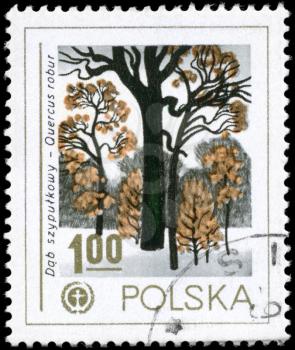 POLAND - CIRCA 1978: A Stamp printed in POLAND shows the Human Environment Emblem and English Oak, series, circa 1978
