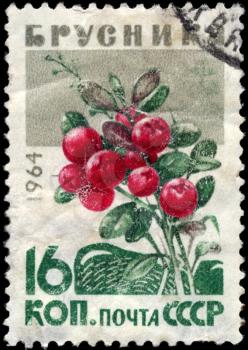 USSR - CIRCA 1964: A Stamp printed in USSR shows the Cowberries, from the series Wild Berries, circa 1964