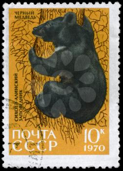 USSR - CIRCA 1970: A Stamp printed in USSR shows image of a Asiatic Black Bear from the series Animals from the Sikhote-Alin Reserve, circa 1970
