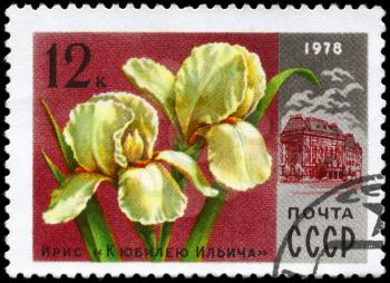 USSR - CIRCA 1978: A Stamp printed in USSR shows the Iris Ilich anniversary and Lenin Central Museum, from the series Moscow Flowers, circa 1978