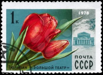 USSR - CIRCA 1978: A Stamp printed in USSR shows the Tulip Great Theater, from the series Moscow Flowers, circa 1978