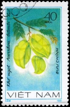 VIETNAM - CIRCA 1981: A Stamp printed in VIETNAM shows the  Bilimbi Averrhoa bilimbi, from the series Fruit, circa 1981
