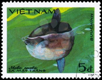 VIETNAM - CIRCA 1984: A Stamp printed in VIETNAM shows image of a Sunfish with the inscription Mola mola from the series Fish, circa 1984
