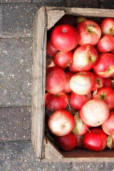Royalty Free Photo of a Box of Apples